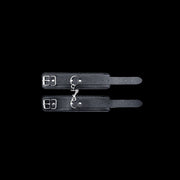 Set costrittivo Secret Desires BDSM Kit